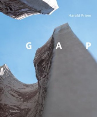 Książka GAP Harald Priem
