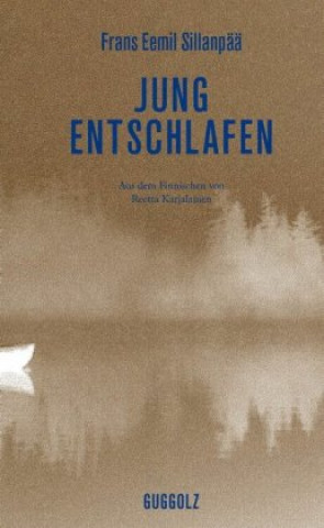 Buch Jung entschlafen Frans Eemil Sillanpää