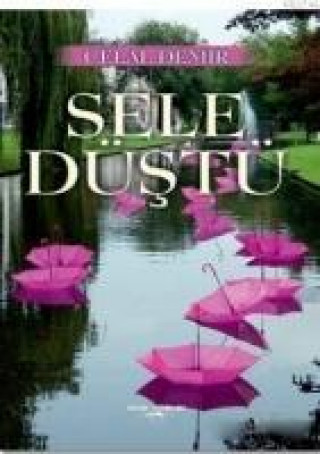 Knjiga Sele Düstü Celal Demir