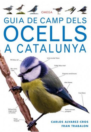 Kniha GUIA DE CAMP DELS OCELLS A CATALUNYA 