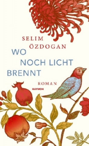 Książka Wo noch Licht brennt Selim Özdogan