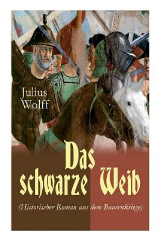 Buch schwarze Weib (Historischer Roman aus dem Bauernkriege) Julius Wolff