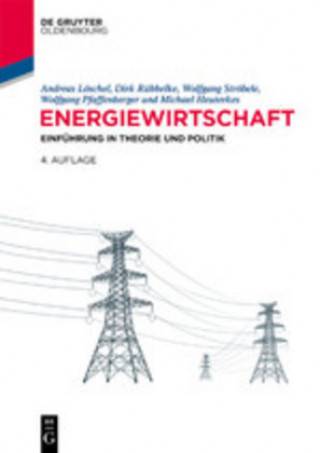 Kniha Energiewirtschaft Wolfgang Ströbele