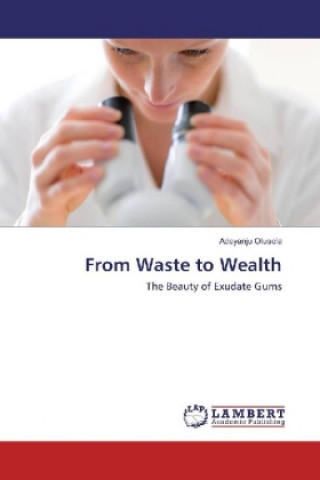 Kniha From Waste to Wealth Adeyanju Olusola