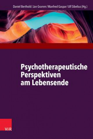 Kniha Psychotherapeutische Perspektiven am Lebensende Daniel Berthold