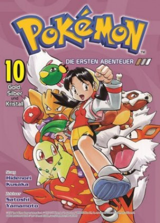 Kniha Pokémon - Die ersten Abenteuer Hidenori Kusaka