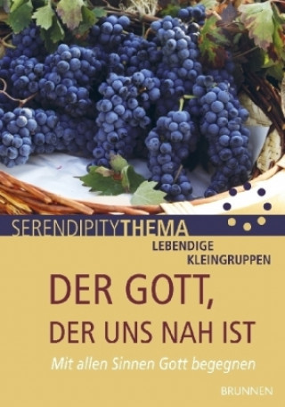 Knjiga Der Gott, der uns nah ist Martin Weber