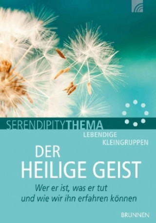 Kniha Der Heilige Geist Martin Weber