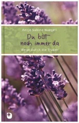 Книга Du bist noch immer da Antje Sabine Naegeli