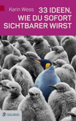 Książka 33 Ideen, wie du sofort sichtbarer wirst Karin Wess