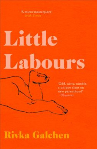 Könyv Little Labours Rivka Galchen