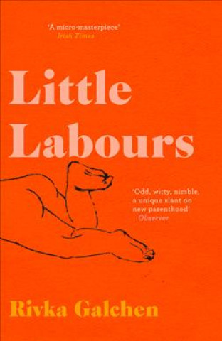 Carte Little Labours Rivka Galchen