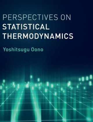 Könyv Perspectives on Statistical Thermodynamics Yoshitsugu Oono