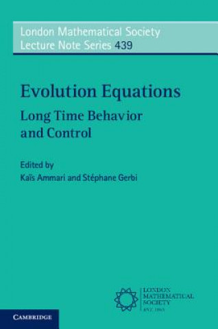 Książka Evolution Equations EDITED BY KA  S AMMA