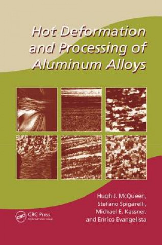 Könyv Hot Deformation and Processing of Aluminum Alloys Hugh J. McQueen