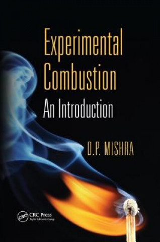 Könyv Experimental Combustion D. P. Mishra