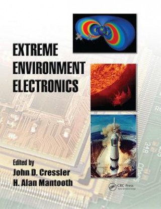 Könyv Extreme Environment Electronics 
