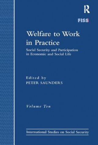 Kniha Welfare to Work in Practice 