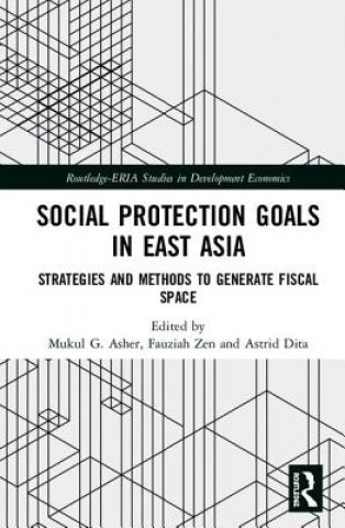 Книга Social Protection Goals in East Asia 