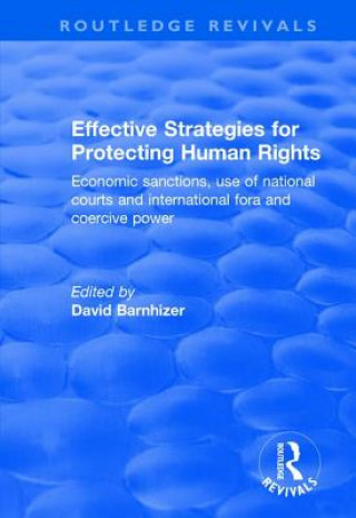 Kniha Effective Strategies for Protecting Human Rights 