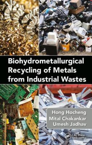 Книга Biohydrometallurgical Recycling of Metals from Industrial Wastes Hong (National Tsing Hua University Department of Power Mechanical Engineering Taiwan Roc) Hocheng