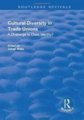 Kniha Cultural Diversity in Trade Unions: A Challenge to Class Identity? 