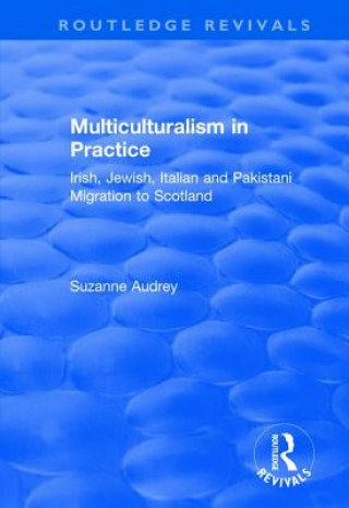 Książka Multiculturalism in Practice AUDREY