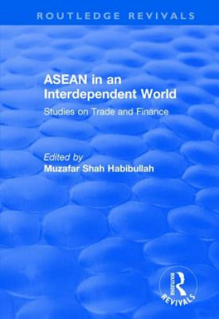 Könyv ASEAN in an Interdependent World 