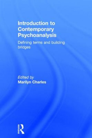Kniha Introduction to Contemporary Psychoanalysis 