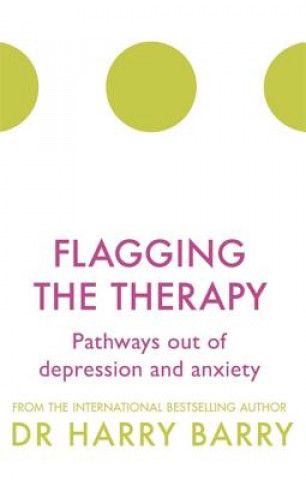 Book Flagging the Therapy Harry Barry