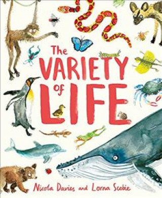 Kniha Variety of Life Nicola Davies