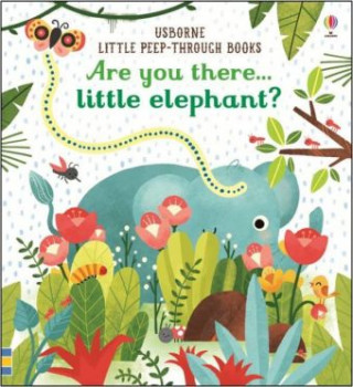 Könyv Are you there Little Elephant? Sam Taplin