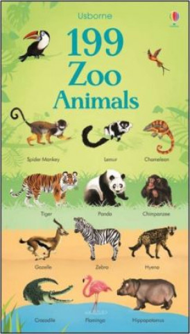 Kniha 199 Zoo Animals Hannah Watson