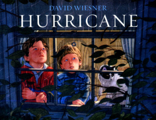 Könyv Hurricane David Wiesner