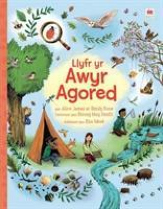 Book Llyfr yr Awyr Agored Alice James