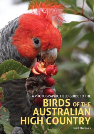 Kniha Photographic Field Guide to the Birds of the Australian High Country Neil Hermes