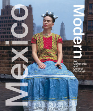Kniha Mexico Modern Donald Albrecht