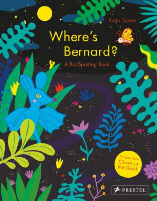 Kniha Where's Bernard? Katja Spitzer