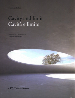 Książka Cavity and Limit FRANCESCO IODICE