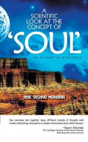 Kniha Scientific Look at the Concept of Soul ANIL VISHNU MOHARIR