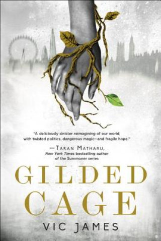Könyv Gilded Cage Vic James