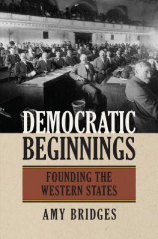 Buch Democratic Beginnings Amy Bridges