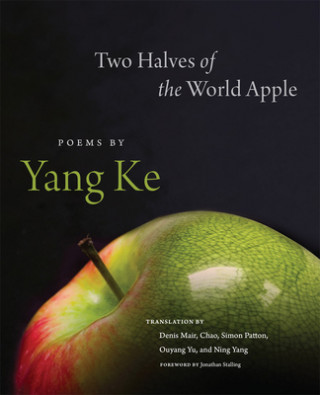 Könyv Two Halves of the World Apple Yang Ke