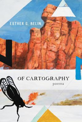 Книга Of Cartography Esther G. Belin