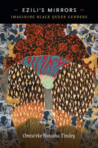 Libro Ezili's Mirrors Omise'eke Natasha Tinsley