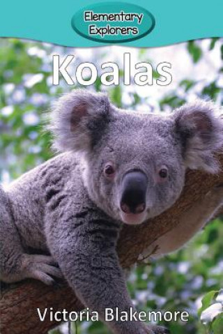 Carte Koalas Victoria Blakemore