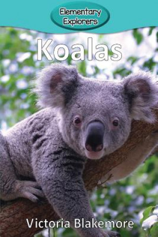 Książka Koalas Victoria Blakemore