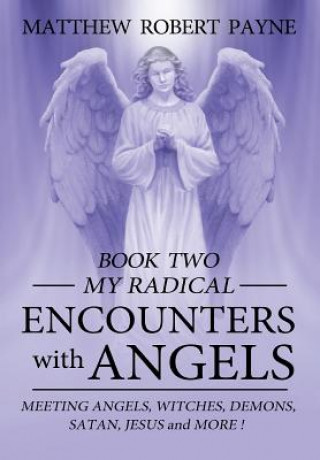 Kniha My Radical Encounters with Angels Matthew Robert Payne