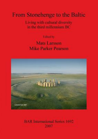 Book From Stonehenge to the Baltic Mats Larsson