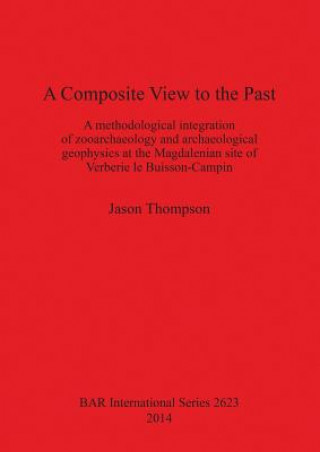 Kniha Composite View to the Past Jason Thompson